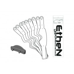 ETHEN 10 PCS TEAR-OFF UNPOLL MOD. 06