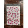 Foglio Adesivi Ibisco Fuxia 4R